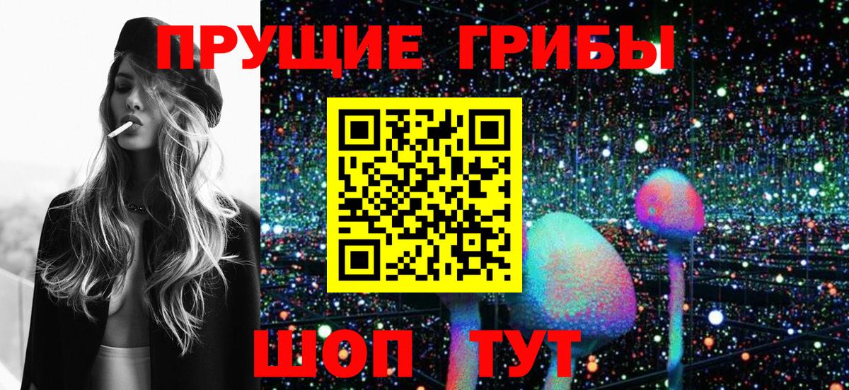Галлюциногенные грибы GOLDEN TEACHER  Вход с VPN  Ачхой-Мартан 